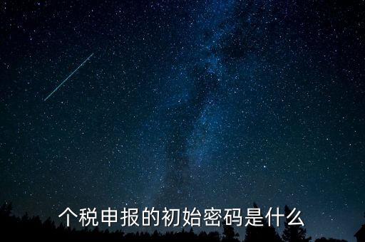 個稅查詢密碼是什么意思，個人所得稅明細(xì)申報(bào)向稅務(wù)機(jī)關(guān)提交的使用哪個密碼 是幾位