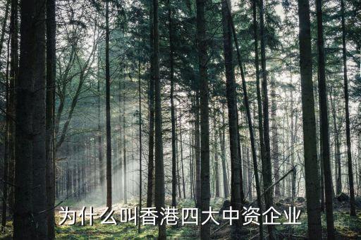 什么叫中資控股企業(yè)，為什么叫香港四大中資企業(yè)