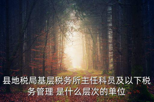 地稅局主任干什么，在地稅局工作寫材料具體是怎么工作