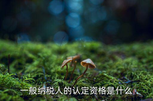 什么是一般納稅人資質，一般納稅人的認定資格是什么