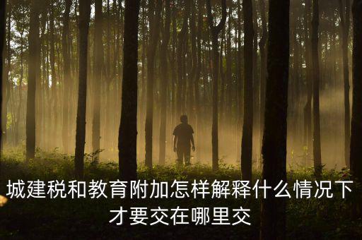 什么時(shí)候有教育費(fèi)附加，子女教育專項(xiàng)附加扣除的起始時(shí)間