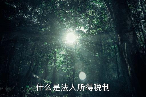 什么是法人企業(yè)所得稅，百度如何理解企業(yè)所得稅應(yīng)該稱之為法人所得稅
