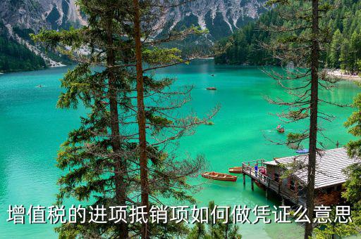 進項證明是什么意思，上年度藥品收入情況的稅務單據證明是什么意思