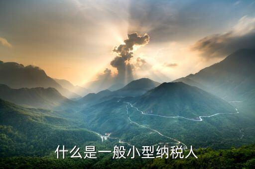 什么是小型納稅人，增值稅小規(guī)模納稅人指什么以及它的具體劃分標準是