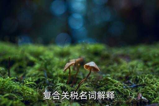 什么東西用復合稅，中國的增值稅是復合稅嗎