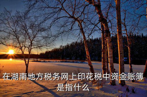 在湖南地方稅務網(wǎng)上印花稅中資金賬簿是指什么