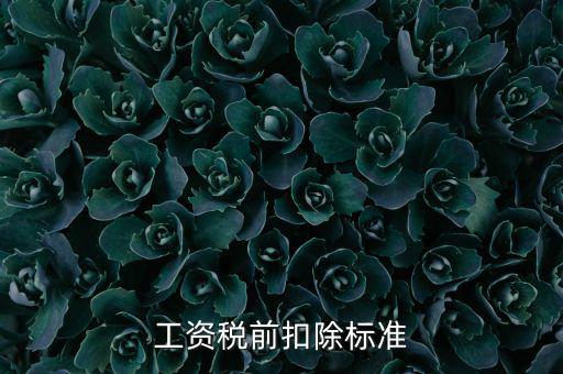 什么是稅前扣除標(biāo)準(zhǔn)，請問差旅費(fèi)稅前扣除標(biāo)準(zhǔn)是什么