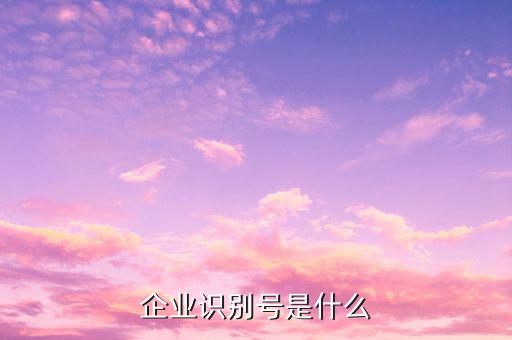 查詢(xún)公司什么納稅人識(shí)別號(hào)，納稅人識(shí)別號(hào)怎么查啊