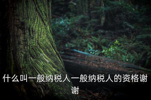 什么是一般納稅人資格證嗎，什么叫一般納稅人一般納稅人的資格謝謝