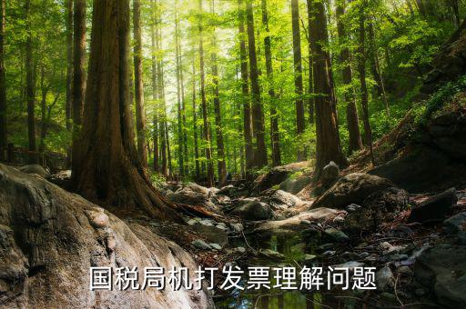 機(jī)打票是什么問題，個(gè)體工商戶開機(jī)打票的問題