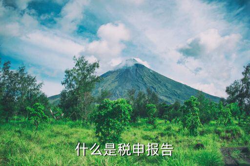 稅務(wù)國別報告是什么，什么是稅申報告