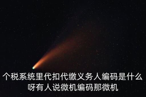 個稅系統(tǒng)里代扣代繳義務人編碼是什么呀有人說微機編碼那微機