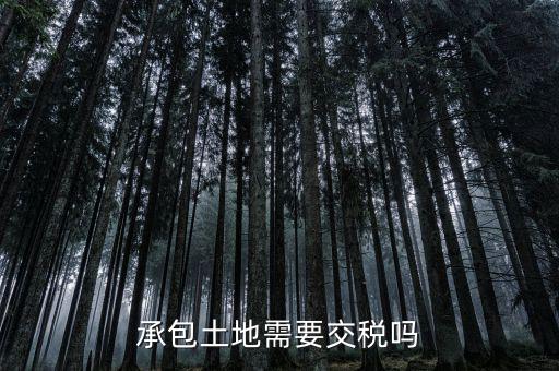 土地承包費征什么稅，我公司承包一農(nóng)民的土地承包期限至該農(nóng)民包地期限為止請問我公