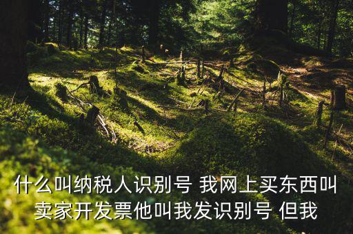 公司納稅識別號是什么意思，納稅人識別碼是什么