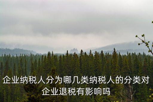 什么A級(jí)B級(jí)信用納稅人，A級(jí)增值稅一般納稅人C級(jí)增值稅一般納稅