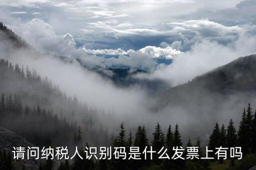 發(fā)票納稅人代碼是什么意思，請問納稅人識別碼是什么發(fā)票上有嗎