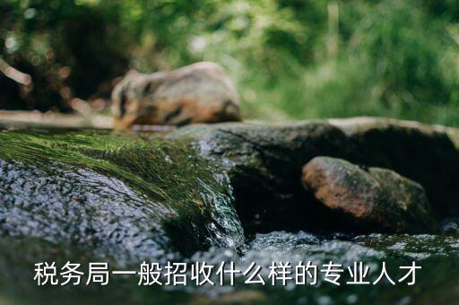 什么專業(yè)可進(jìn)稅務(wù)所，稅務(wù)局一般招收什么樣的專業(yè)人才