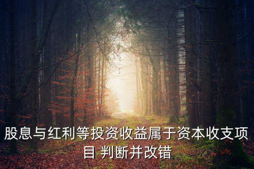 股息紅利等投資收益屬于什么，股息與紅利等投資收益屬于資本收支項(xiàng)目 判斷并改錯(cuò)