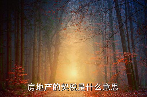 房地產的契稅是什么意思