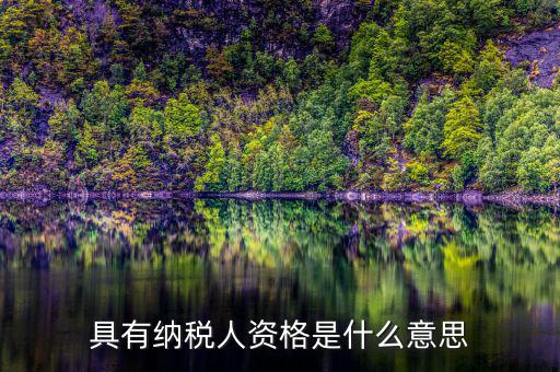 單位納稅資質(zhì)是什么，具有納稅人資格是什么意思
