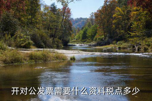 對(duì)公開(kāi)票需要什么信息，公對(duì)公開(kāi)發(fā)票 需要對(duì)方什么信息