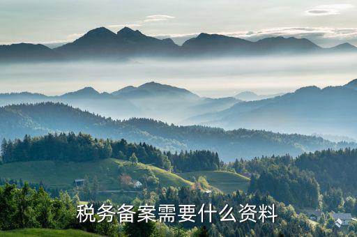 地稅局備案需要什么，到地稅局去辦理發(fā)票章備案需要帶什么