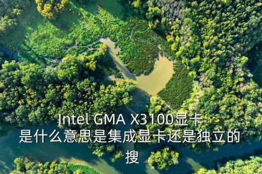 國(guó)稅集成理念是什么意思，Intel GMA X3100顯卡 是什么意思是集成顯卡還是獨(dú)立的  搜