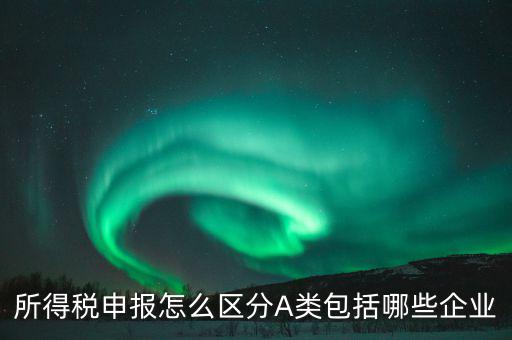 所得稅申報(bào)怎么區(qū)分A類(lèi)包括哪些企業(yè)