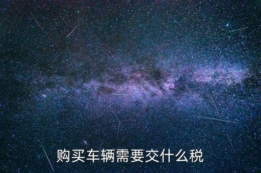 車(chē)輛納稅需要什么，汽車(chē)交稅需要帶什么