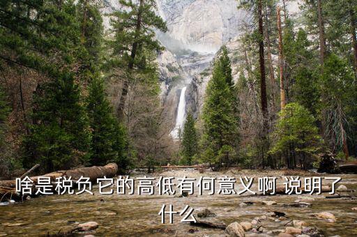 什么是稅負(fù)分析，增值稅稅負(fù)什么意思