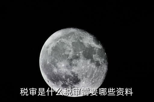 什么是大企業(yè)稅務(wù)審計(jì)，審計(jì)和稅務(wù)