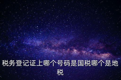 國稅地稅登記號是什么，稅務(wù)登記證上哪個號碼是國稅哪個是地稅