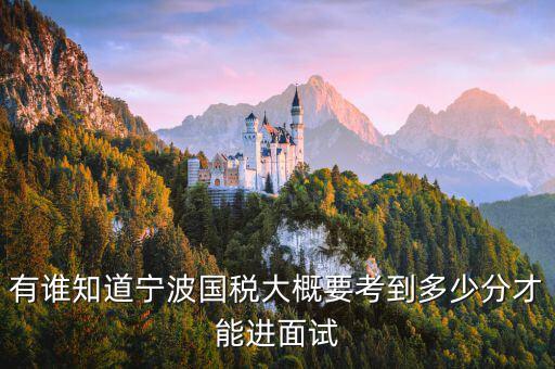國稅 要求什么素質(zhì)，國稅公務(wù)員面試