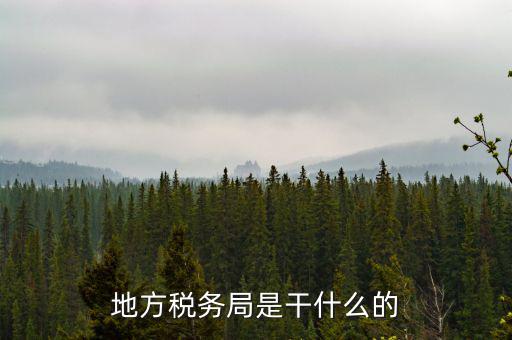地稅局涉外稅收做什么，陜西發(fā)票涉外地稅是什么意思