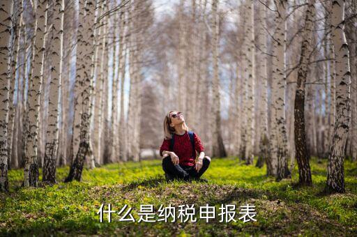 稅務通用申報表是什么意思，通用稅納稅申報表