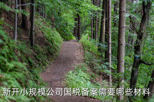 國稅備案需要什么材料，新開小規(guī)模公司國稅備案需要哪些材料