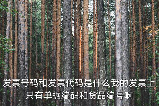 發(fā)票代碼和發(fā)票號碼是什么，發(fā)票代碼和發(fā)票號碼有什么用