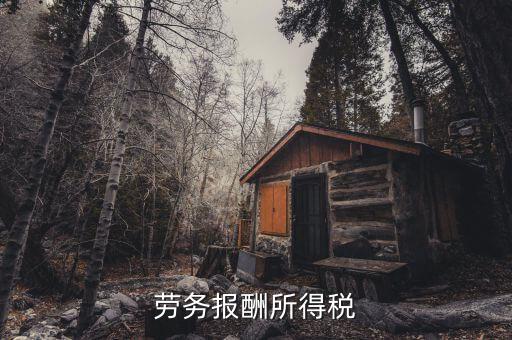 什么是勞動(dòng)報(bào)酬稅，勞務(wù)稅是什么