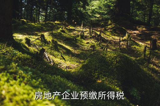 房地產(chǎn)預繳是什么意思，房價預交1萬抵2萬是什么意思