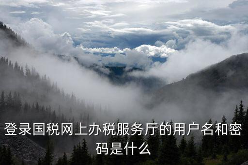 電子稅務局登陸用戶名是什么，登錄國稅網(wǎng)上辦稅服務廳的用戶名和密碼是什么