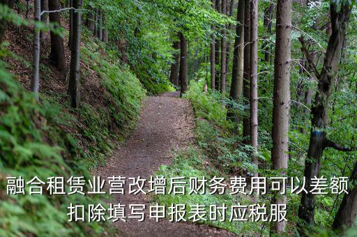 應(yīng)稅服務(wù)扣除項(xiàng)目清單干什么用，應(yīng)稅服務(wù)扣除項(xiàng)目清單中允許扣除項(xiàng)目金額指的是什么是總