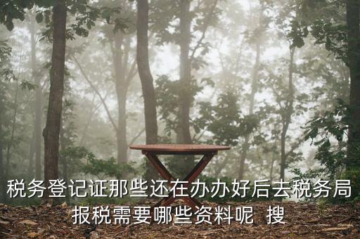 新辦企業(yè)稅務(wù)局需要什么資料，稅務(wù)登記證那些還在辦辦好后去稅務(wù)局報(bào)稅需要哪些資料呢  搜