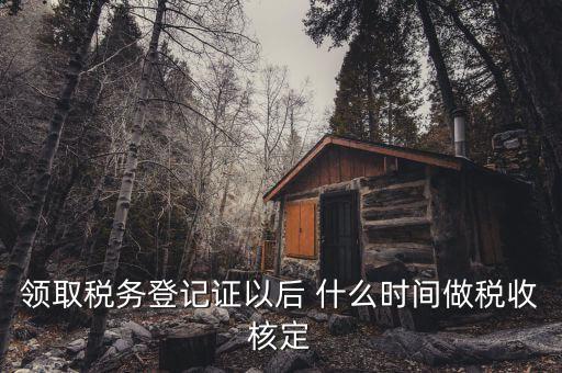 什么時(shí)候需要稅種核定，新注冊(cè)企業(yè)什么時(shí)候要申請(qǐng)稅種核定并購(gòu)買(mǎi)發(fā)票