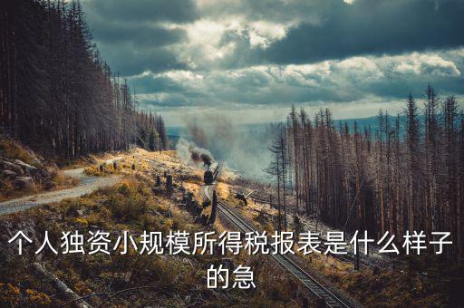 所得稅報表是什么樣的，企業(yè)所得稅年度納稅申報表