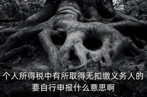 什么叫自行申報(bào)，個(gè)人所得稅中有所取得無扣繳義務(wù)人的要自行申報(bào)什么意思啊