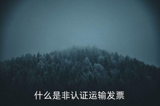 運(yùn)輸票是什么，運(yùn)輸發(fā)票是普通發(fā)票嗎