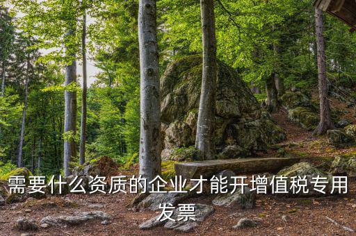 什么公司可以開增值稅專用發(fā)票，什么樣的企業(yè)才能開增值稅專用發(fā)票
