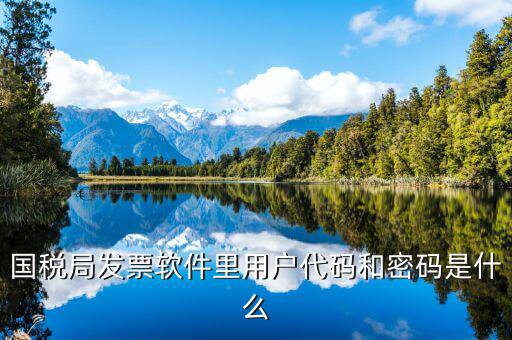 國稅用戶密碼是什么，你好我想問你 一下 網(wǎng)上國稅的用戶名和密碼是什么