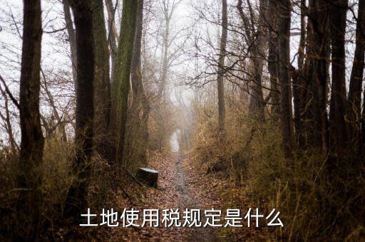 大宗商品土地使用稅指什么，土地使用稅