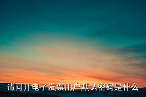 重慶國稅電子發(fā)票登錄密碼是什么意思，國稅局發(fā)票軟件里用戶代碼和密碼是什么